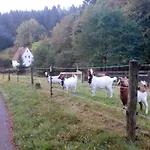 Apartmán Pacohaus Naehe Willingen Diemelsee Brilon