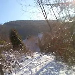 Pacohaus Naehe Willingen Diemelsee Brilon