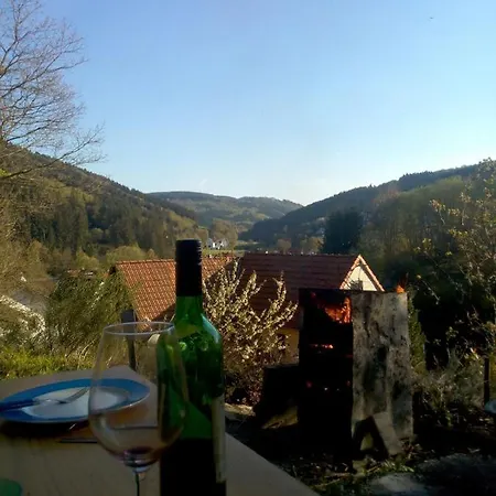 Pacohaus Naehe Willingen Diemelsee Brilon
