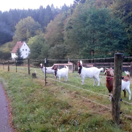 Apartmán Pacohaus Naehe Willingen Diemelsee Brilon