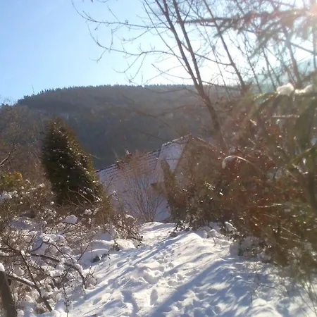 Pacohaus Naehe Willingen Diemelsee Brilon