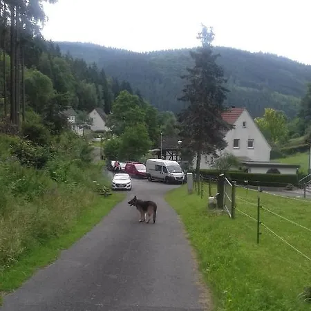 Pacohaus Naehe Willingen Diemelsee Appartement