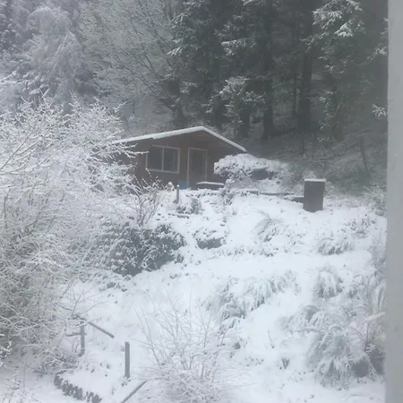 Pacohaus Naehe Willingen Diemelsee Apartman