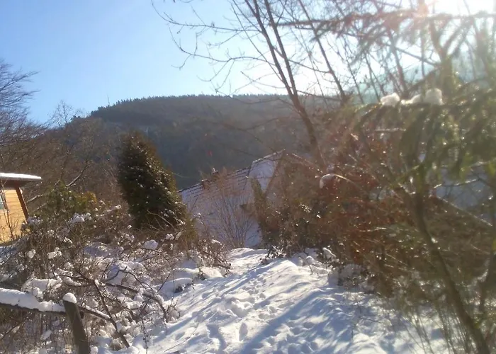 Pacohaus Naehe Willingen Diemelsee Brilon