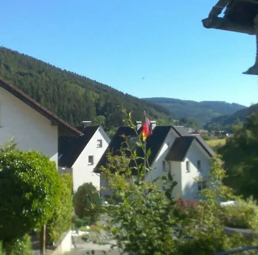 Pacohaus Naehe Willingen Diemelsee Daire