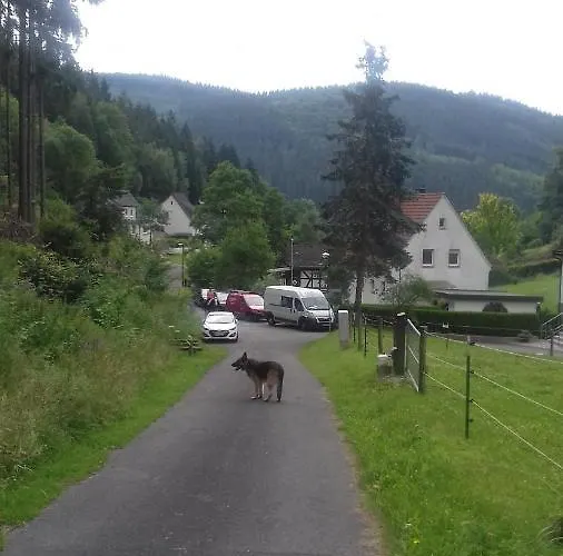 Pacohaus Naehe Willingen Diemelsee Lejlighed