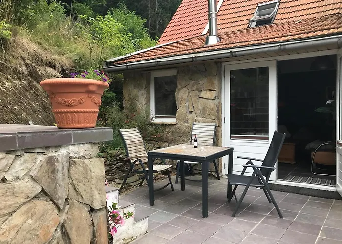 Pacohaus Naehe Willingen Diemelsee Daire