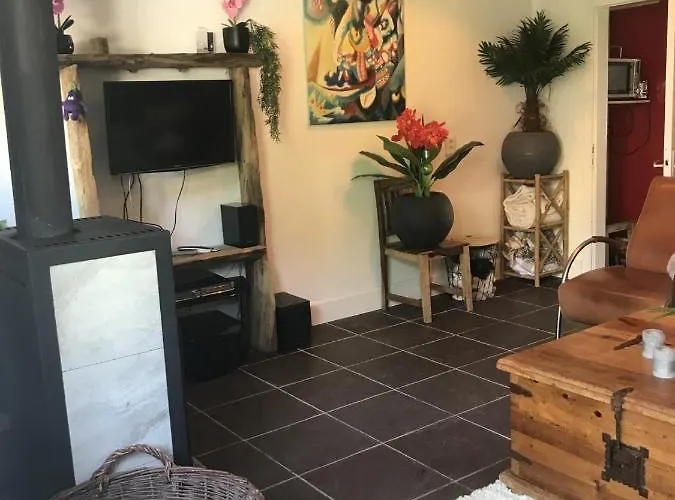 Pacohaus Naehe Willingen Diemelsee Brilon