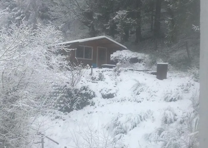 Pacohaus Naehe Willingen Diemelsee Daire